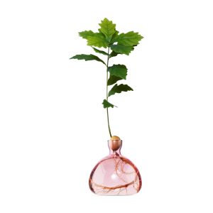 Acorn Vase - Pink