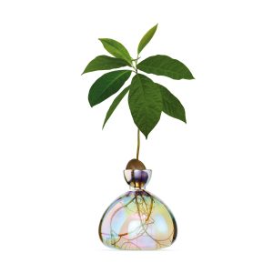 Avocado Vase - iridescent
