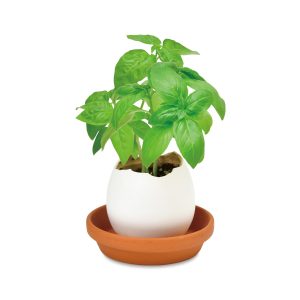 Eggling Crack & Grow Planter Kit - Basil