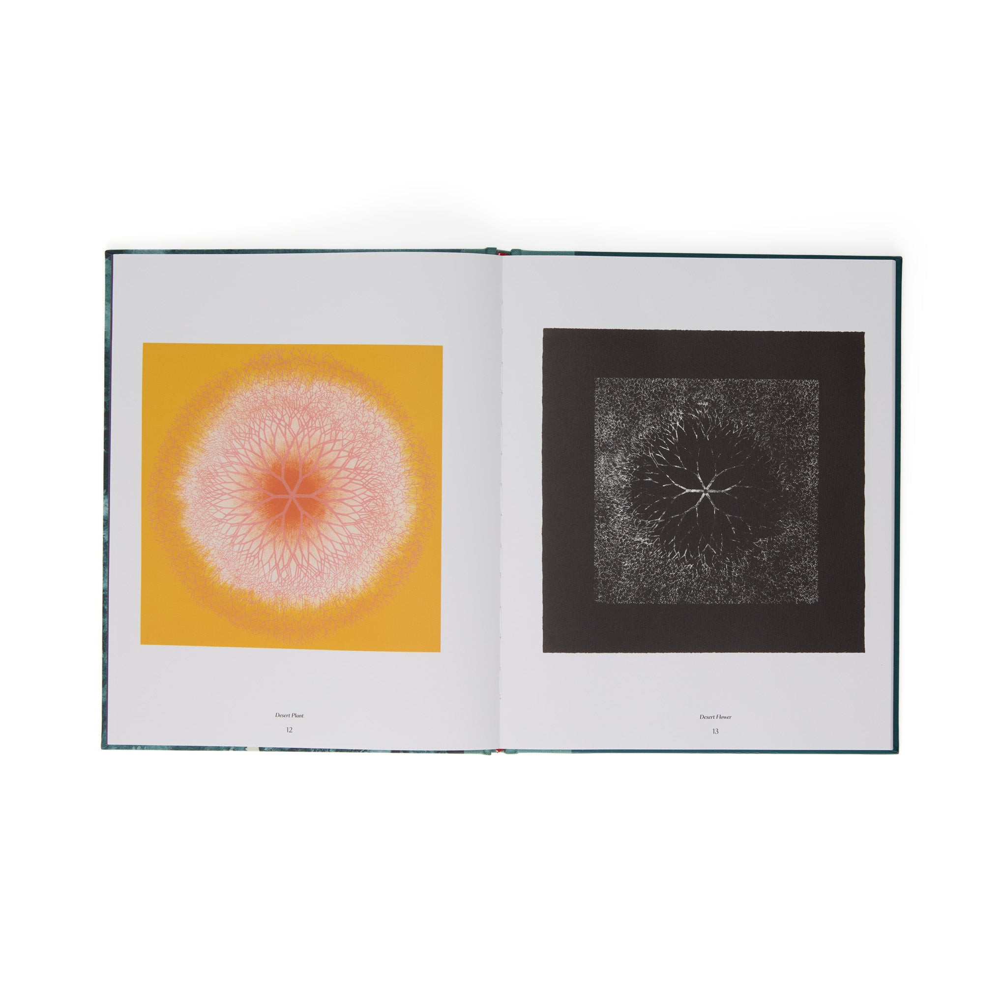 Ruth Asawa: The Tamarind Prints - Hardcover Book - Image 6