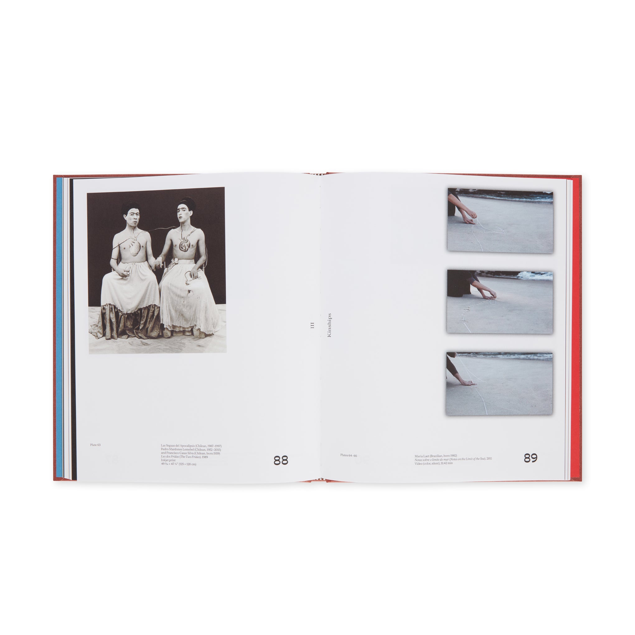 Chosen Memories: Contemporary Latin American Art from the Patricia Phelps de Cisneros Gift and Beyond - Hardcover - Image 7