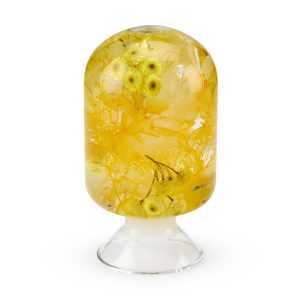 Pieces of Time Flower Objet d'Art - Yellow Immortelle