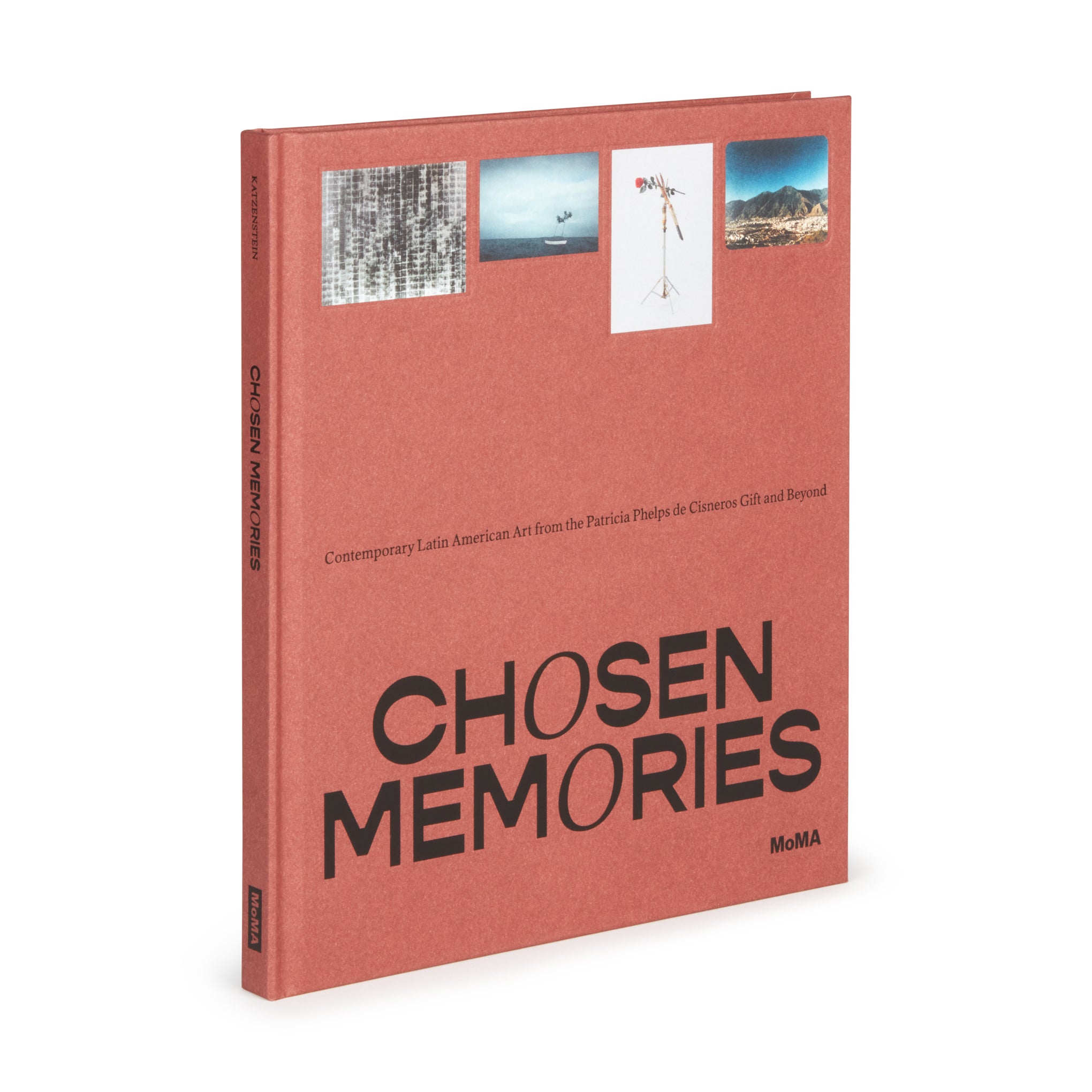 Chosen Memories: Contemporary Latin American Art from the Patricia Phelps de Cisneros Gift and Beyond - Hardcover - Image 3