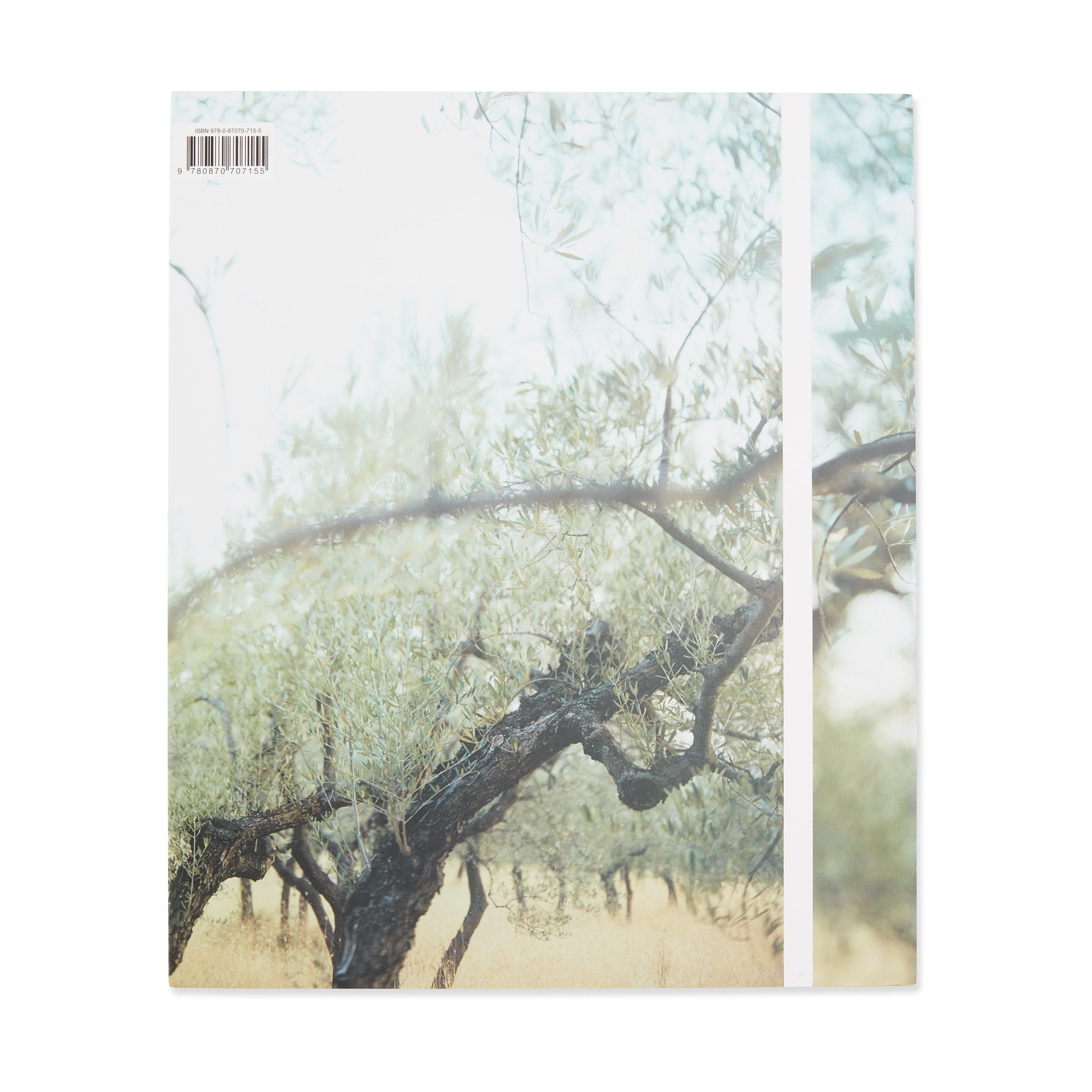 Present Tense: Photographs by JoAnn Verburg - Hardcover - Image 2