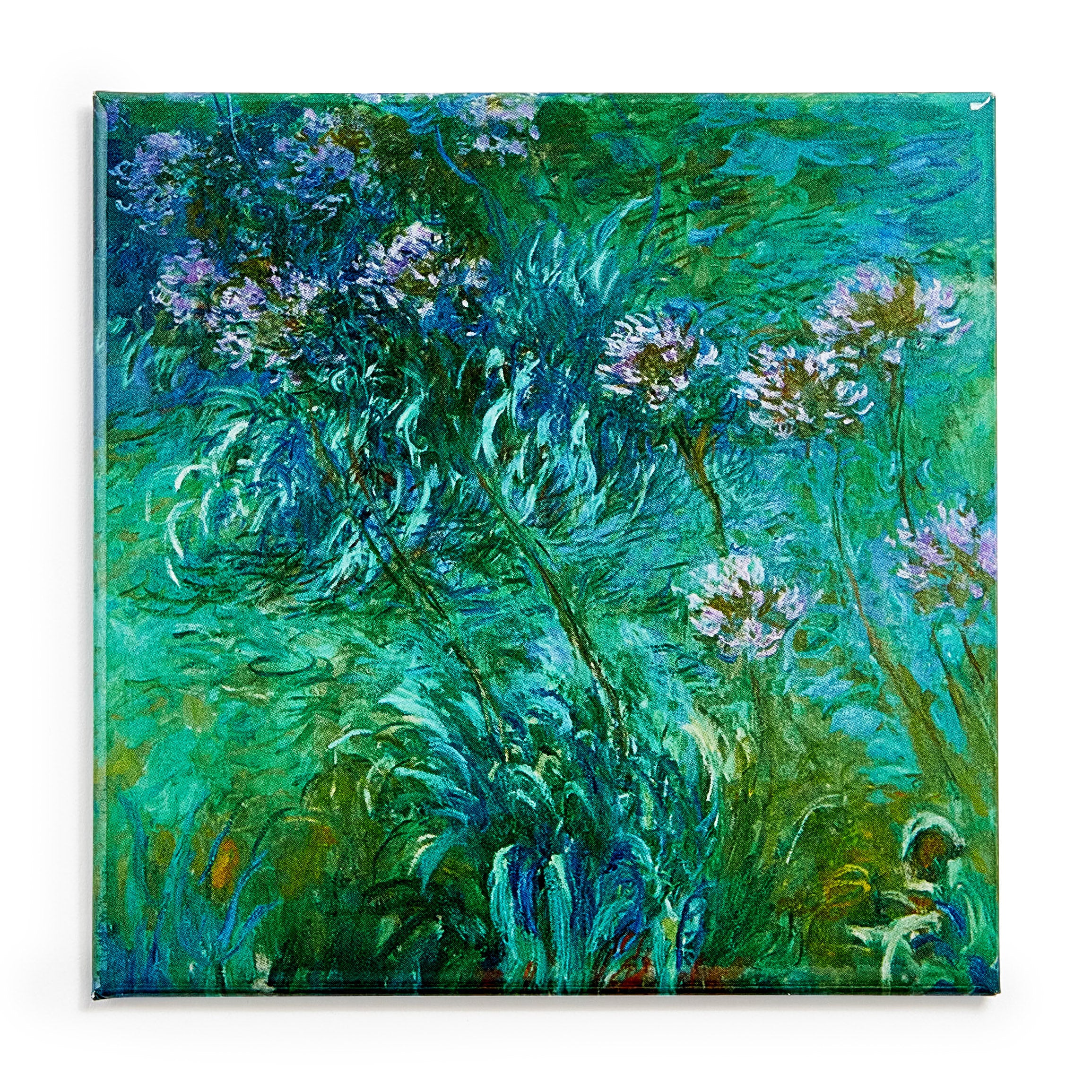 Claude Monet: Agapanthus Magnet