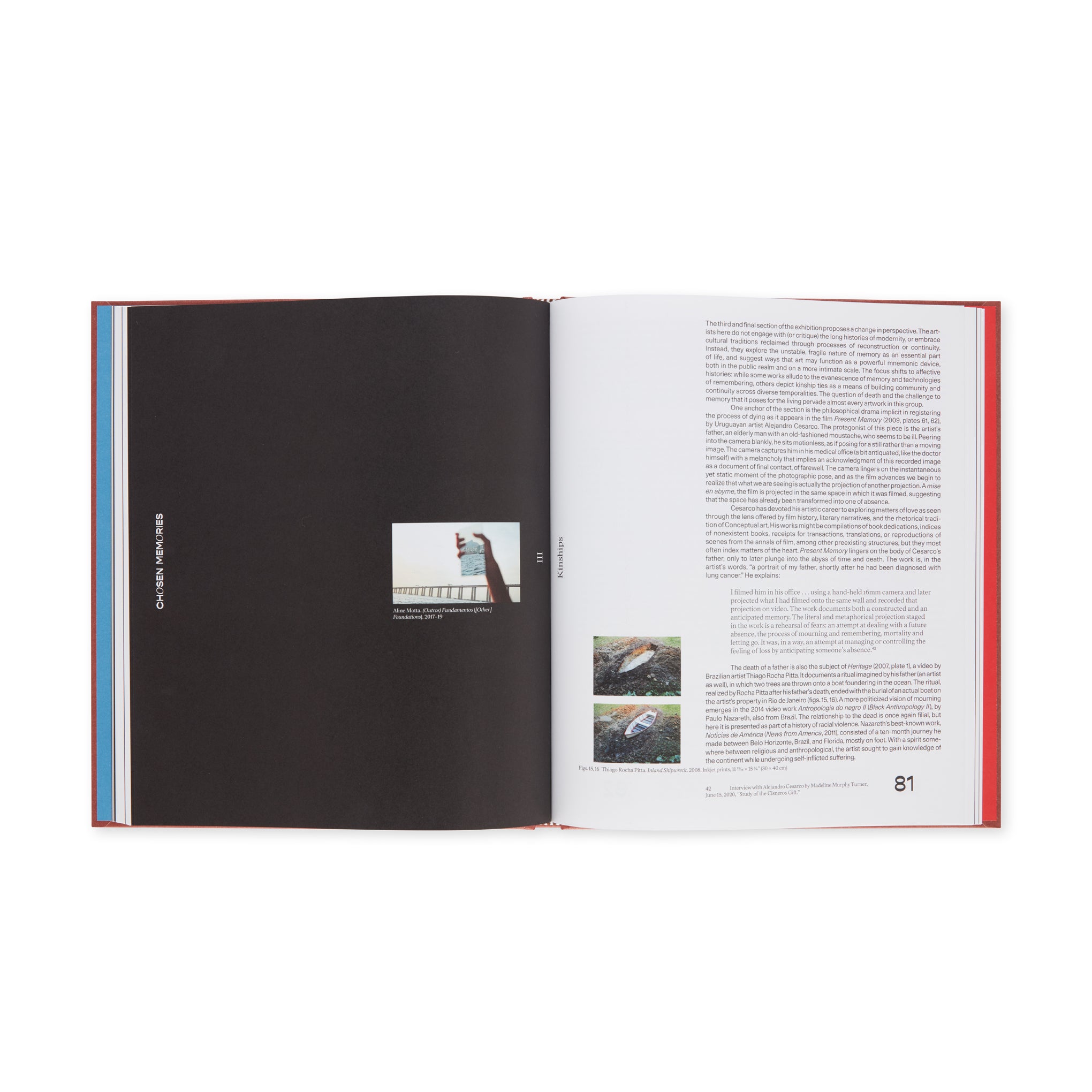 Chosen Memories: Contemporary Latin American Art from the Patricia Phelps de Cisneros Gift and Beyond - Hardcover - Image 6