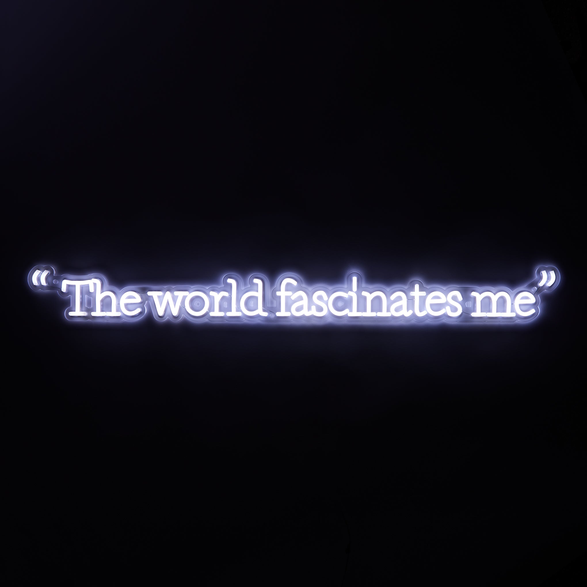 Andy Warhol The World Fascinates Me Quote Neon Sign - Image 2