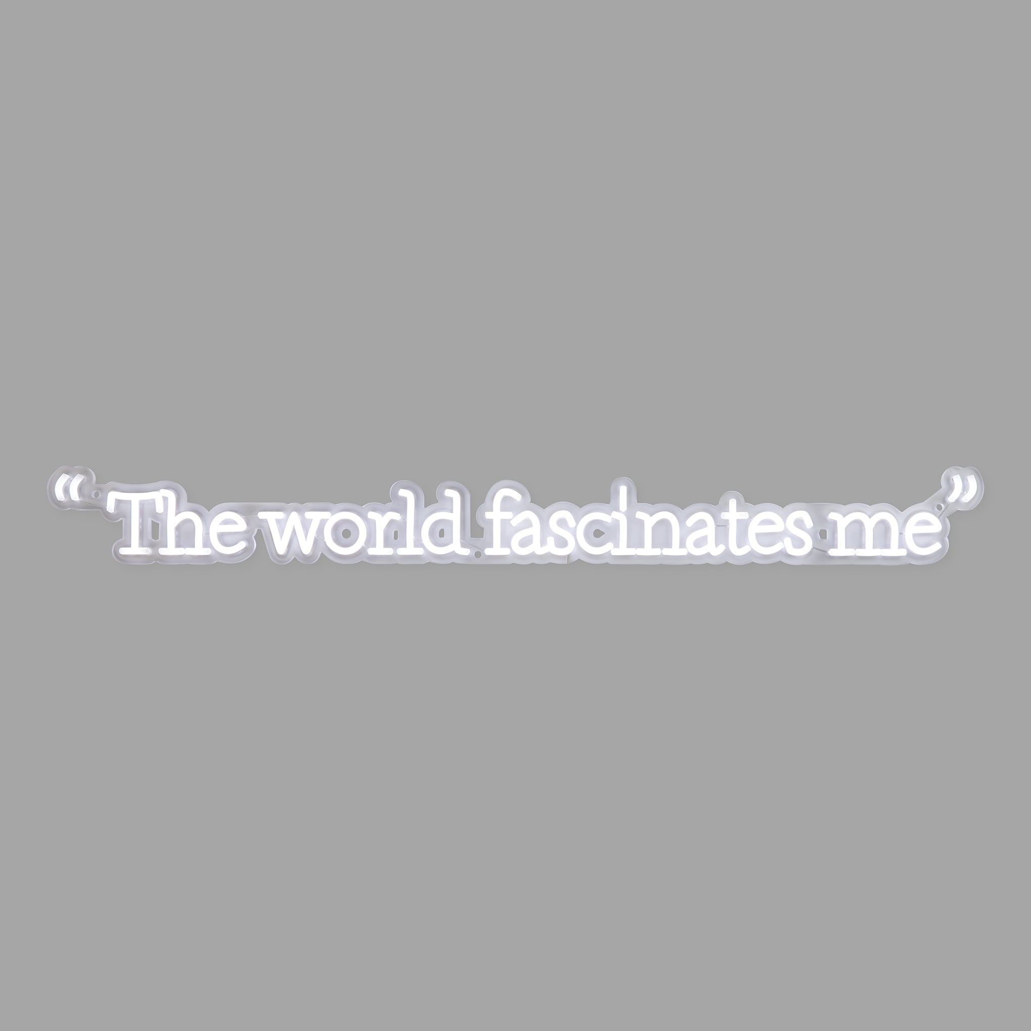 Andy Warhol The World Fascinates Me Quote Neon Sign - Image 5
