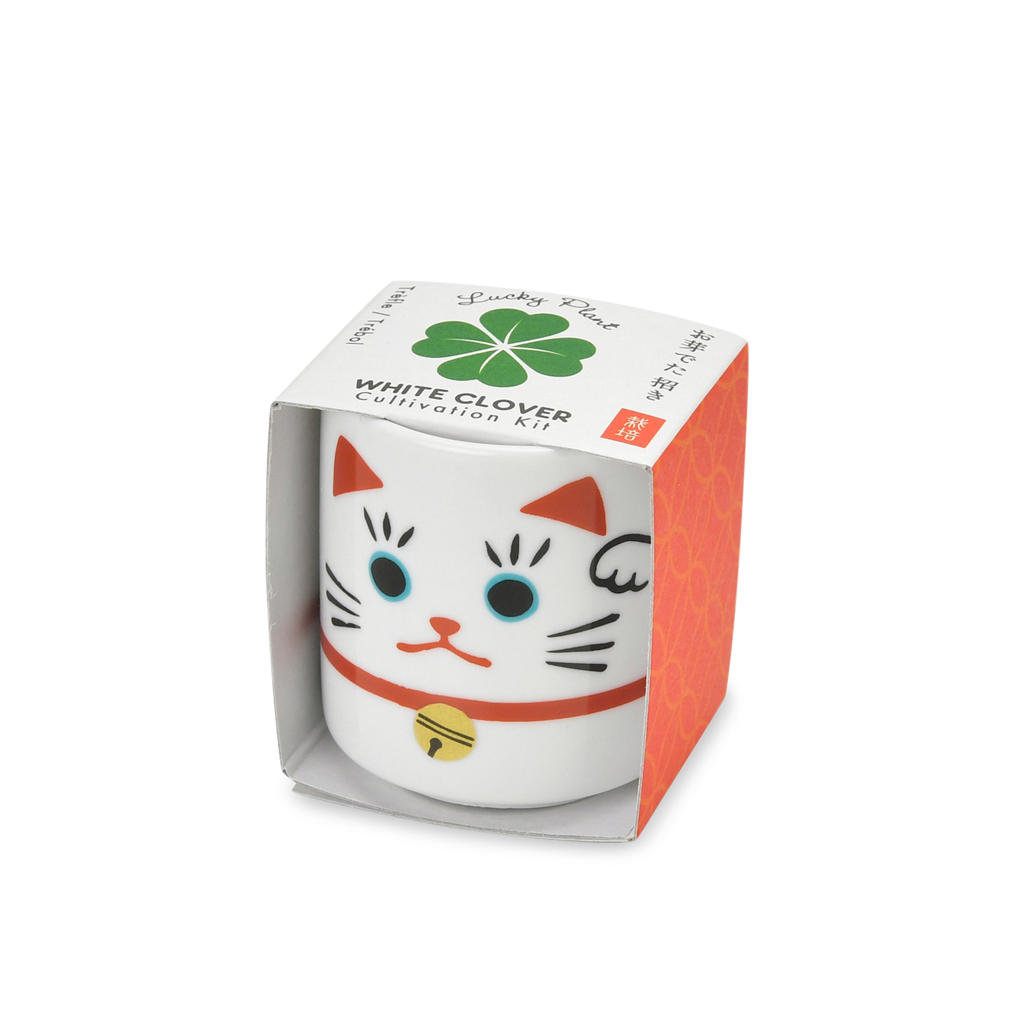 Lucky Mini Planter Kit - Cat / Clover - Image 4