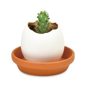 Eggling Crack & Grow Planter Kit - Cactus