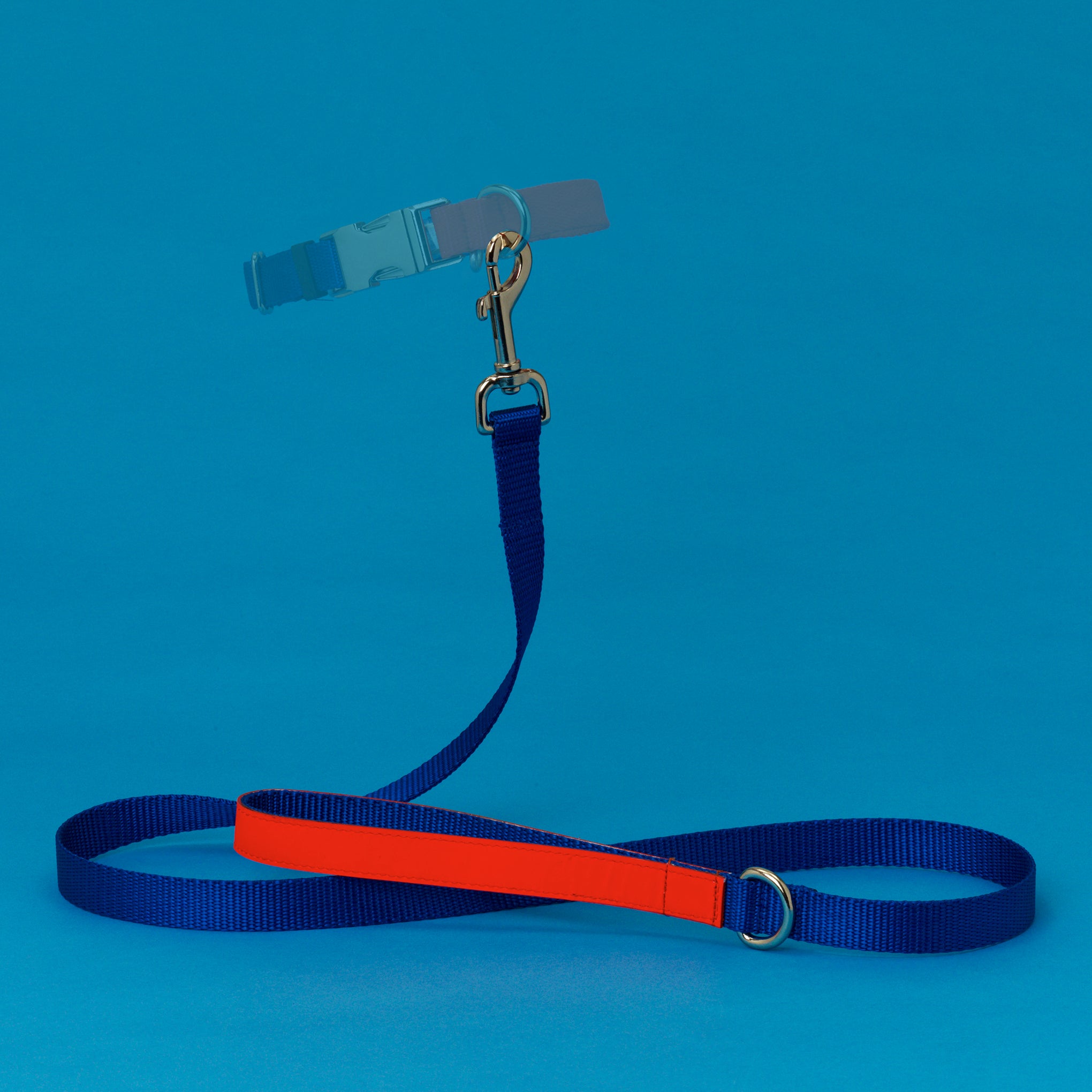 Ware of the Dog Two-Tone Nylon Collar - Large - Image 2