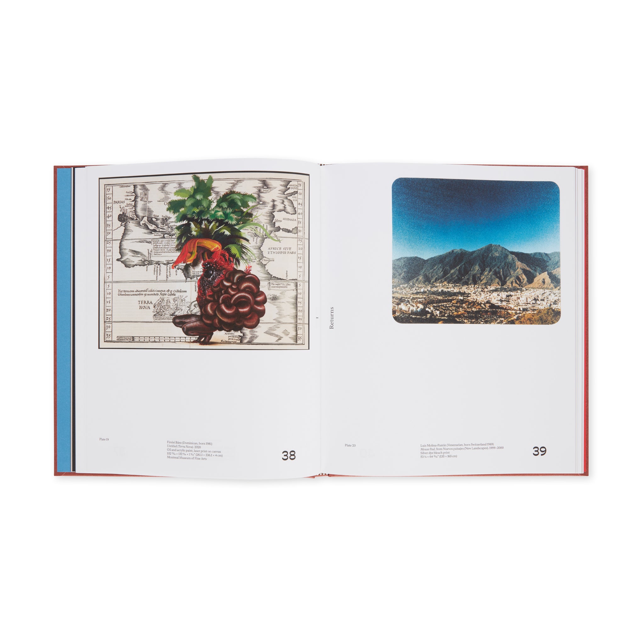 Chosen Memories: Contemporary Latin American Art from the Patricia Phelps de Cisneros Gift and Beyond - Hardcover - Image 5