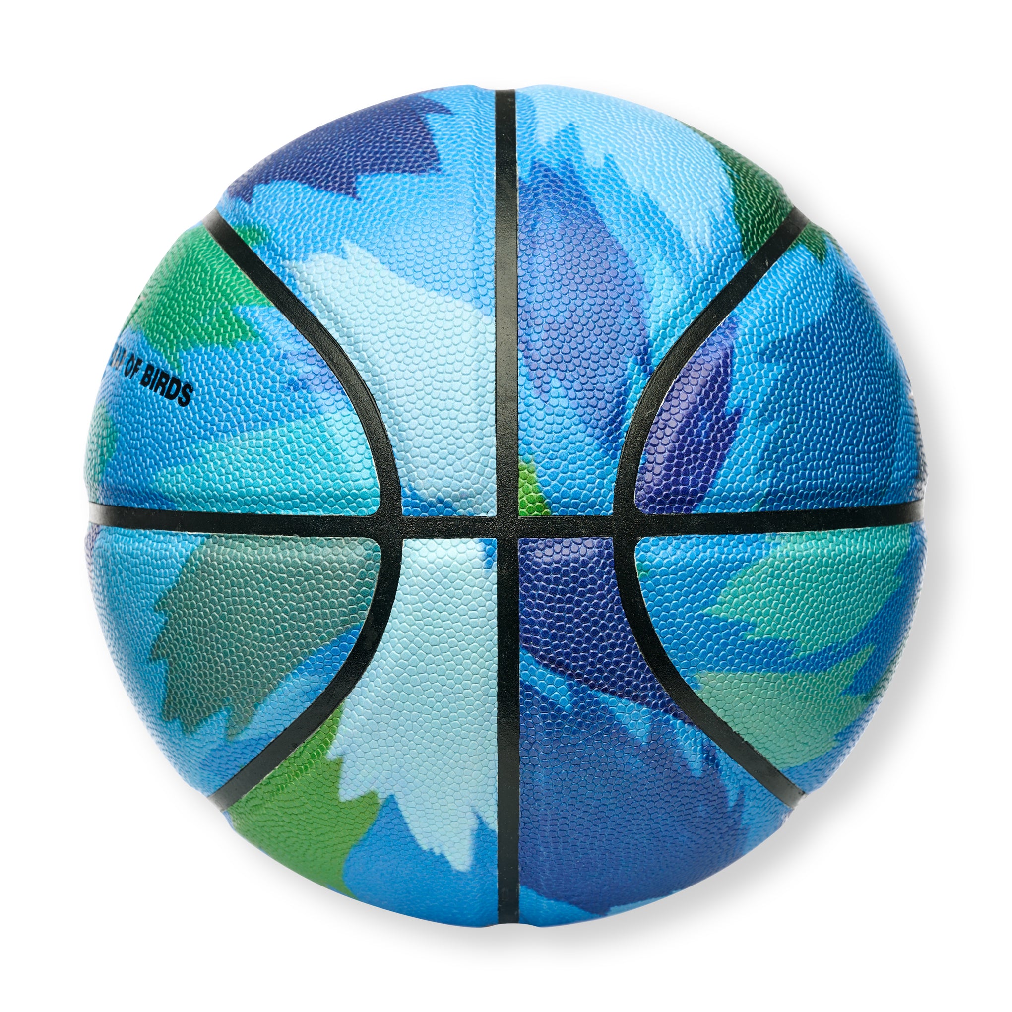 Edgar Heap of Birds Neufs for Hawaii Basketball - Image 3