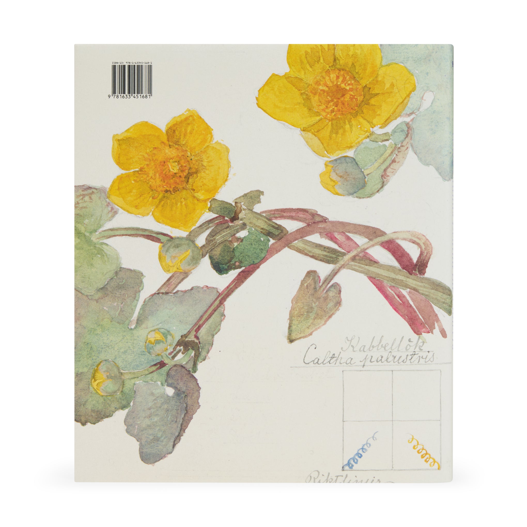 Hilma af Klint: What Stands Behind the Flowers ?C Hardcover - Image 4