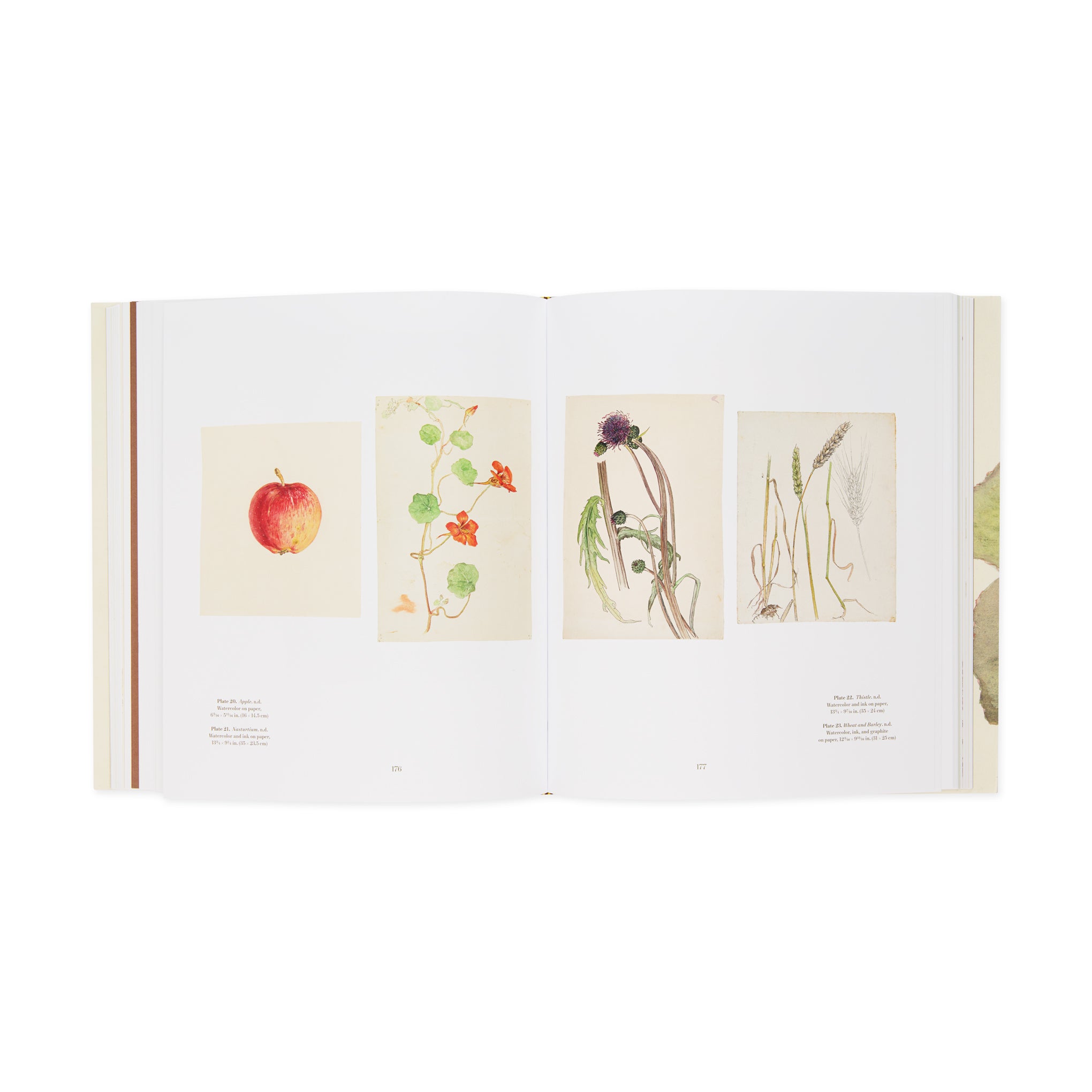 Hilma af Klint: What Stands Behind the Flowers ?C Hardcover - Image 7